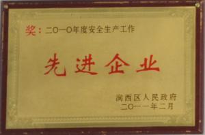 2010年度安全生產先進企業(yè)